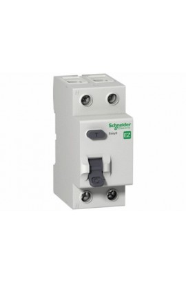 Schneider 2x63A 30 mA Kaçak Akım Rölesi 0.5kA - EZ9R33263