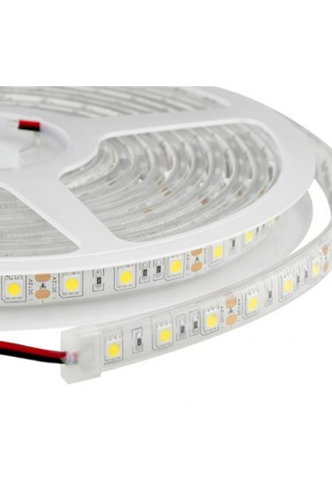 Pelsan LEDLI SERİT 5050 60 SMD IP20 MAVİ - 203690