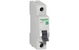 Schneider 1X 2A C Tipi 3ka Otomat Sigorta - EZ9F43102